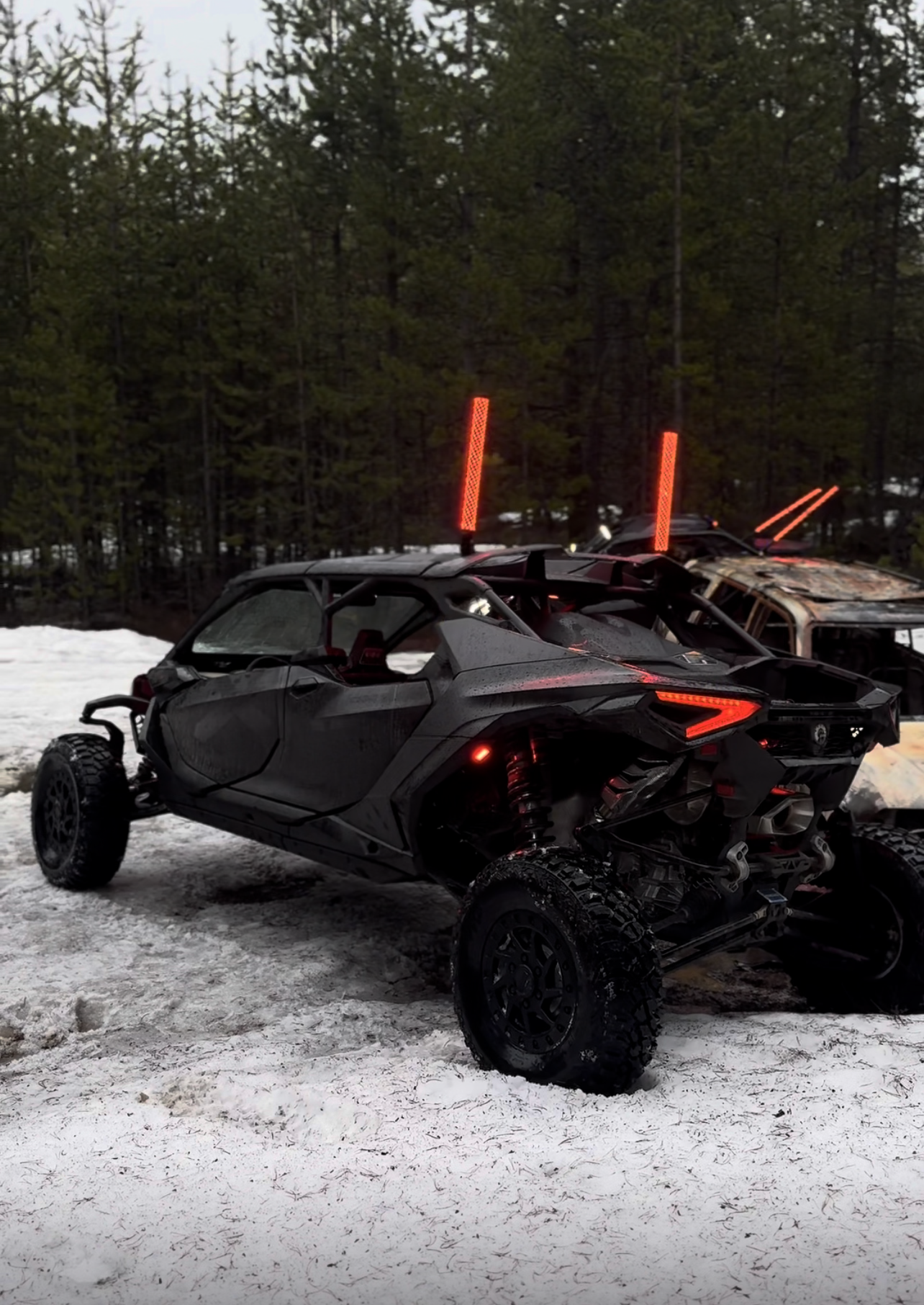 Látigo LED RGB Frontera™ RZR, CAN-AM